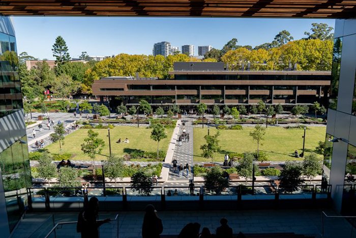 Macquarie University Ranking