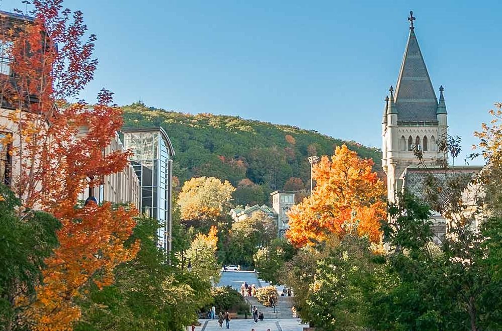 Mcgill University Ranking