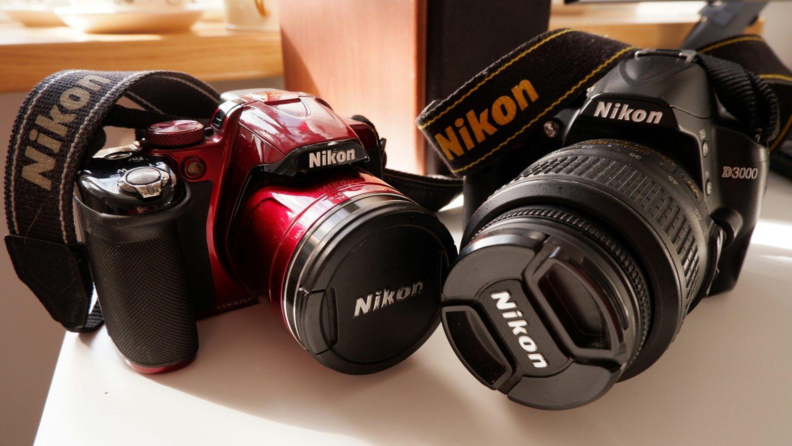 Nikon Digital Camera